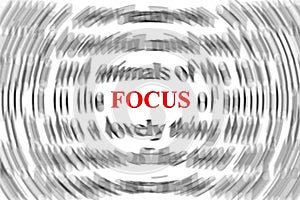 Focus photo