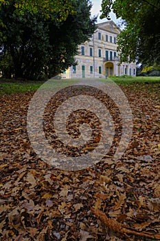 focus on autumn leaves in the park across the building of the Villa Casino dei Boschi in Boschi di Carrega, Emilia-Romagna, Italy photo