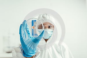 Focus of biochemist in hazmat suit holding petri dish with biomaterial