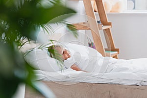 Focus of boy sleeping in bed