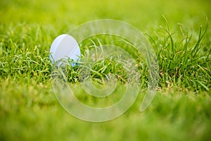 Focus colorful an easter egg on the grass field. Eater egg on the garden. sign of easter`s day festival. vivid egg on green field.