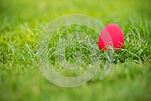 Focus colorful an easter egg on the grass field. Eater egg on the garden. sign of easter`s day festival. vivid egg on green field.