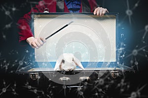 Focus disappearance white rabbit in suitcase, magician conjures magic wand, black background photo