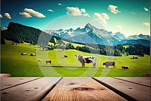 Focus empty wood table with blurred natural tree and cow with meadow background.