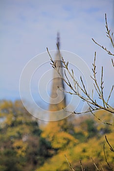 Focus of the foreground of tree braches with Baochu Pagoda in the background.