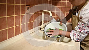 Focus on freshly harvested crop of organic cucumbers in enamel bowl in the hands of a woman rinsing under running water