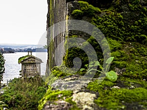 Focus on a Galician HÃÂ³rreo from a wall with moss photo
