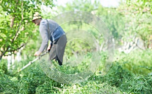 Focus on grass. Worker cutting grass with a grass trimmer