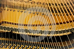 Focus inside of grand piano, show piano strings that make music sound key.