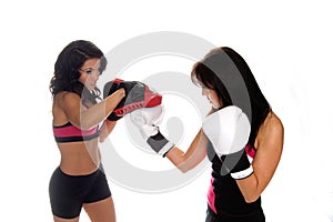 Focus Mitt Training