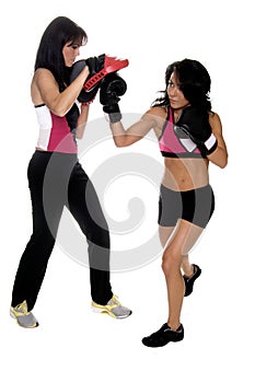 Focus Mitt Uppercut