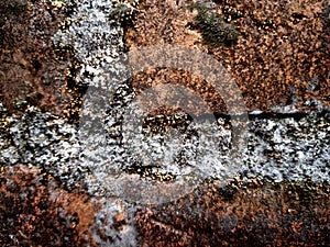 old brick wall that covered in moss