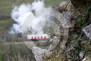 Focus on old stone wall; traditional steam train and carriages in background