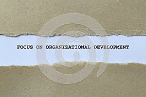 focus on organizational development on white paper
