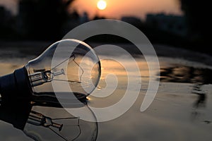 Focus On Reflection - summer vibes give u best click