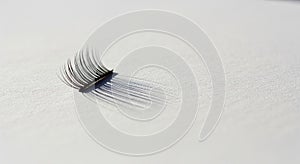 And focus on a single object emphasize the intricate design of the