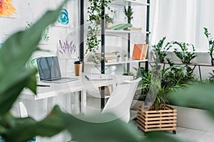 Focus of spacious room with laptop on table and rack with books and potted plants