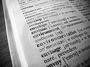 Focus on the word Environment inside a dictionary