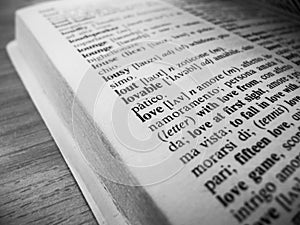 Focus on the word Love inside a dictionary