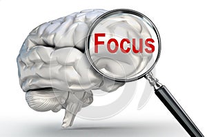 Focus word on magnifying glass and human brain