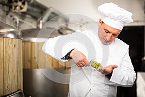 Focused brewer checking quality of hop pellets in brewery
