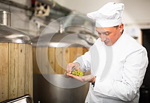 Focused brewer checking quality of hop pellets in brewery