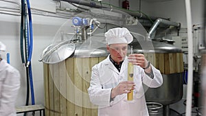Focused brewer controlling process of craft beer production in small brewery, measuring beer gravity with hydrometer