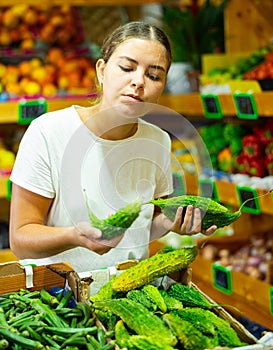 Focused female buyer chooses indian cucumber momordica in farm food store