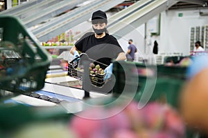 Focused female worker wearing protective face mask working at fruit warehouse carrying box with mangos