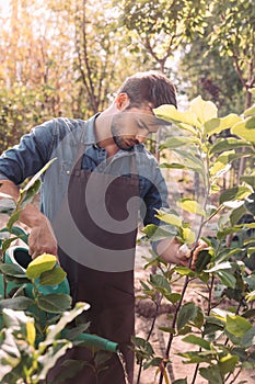 Focused gardener in apron with watering can watering plants in garden