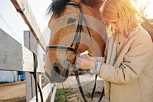 Focused ginger girl preparing her horse for the ride, putting on bridle on horse