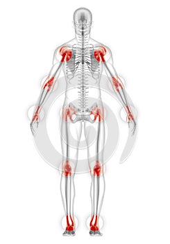 Enfocado sobre el hombre articulaciones 