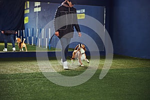 Focused instructor practicing a new command with a puppy