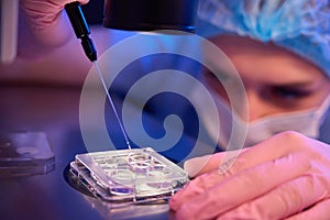 Focused lab scientist collecting in vitro cultured embryos for biopsy