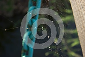 Spider network - a blue chain in the background