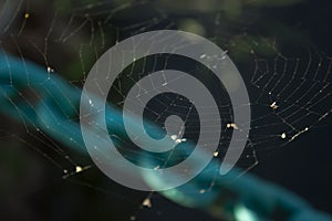 Spider network - a blue chain in the background