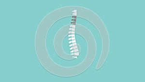 Focused on spine vertebra region in. back ache animated illustration with spine.