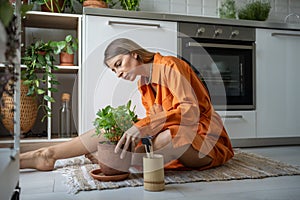 Focused woman plants lover taking care of houseplants. Measured hobby brings satisfaction, calmness