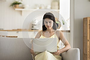 Focused woman working using laptop and internet connection at home