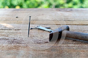 Focused wooden plank with nails and hammer on blurred green trees background