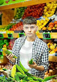 Focused young male buyer chooses indian cucumber momordica in farm food store