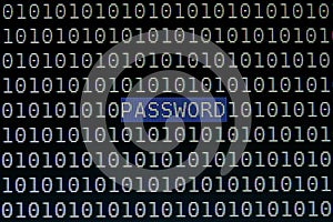 Focusing Password Text on Computer Screen