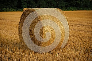 Fodder, forage, haymaking