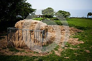 Fodder rack with hay for animal in the farm. A rack with harvested hay in the green field countryside. Metallic animals feeder fil