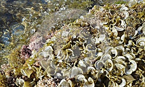 Fodele Beach - February 2017