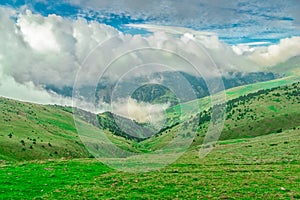 The fog advances over the meadows of the Pyrenees