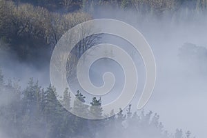 Fog in Altzo, Tolosaldea, Gipuzkoa