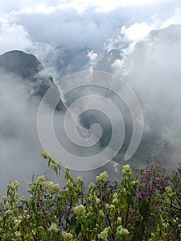 Fog in the Andes