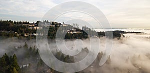 Fog ascending in valley amid a forested hillside with houses