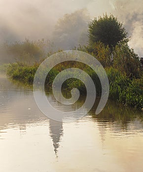 Fog ashore lake